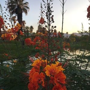 Meet your Posher, Tara